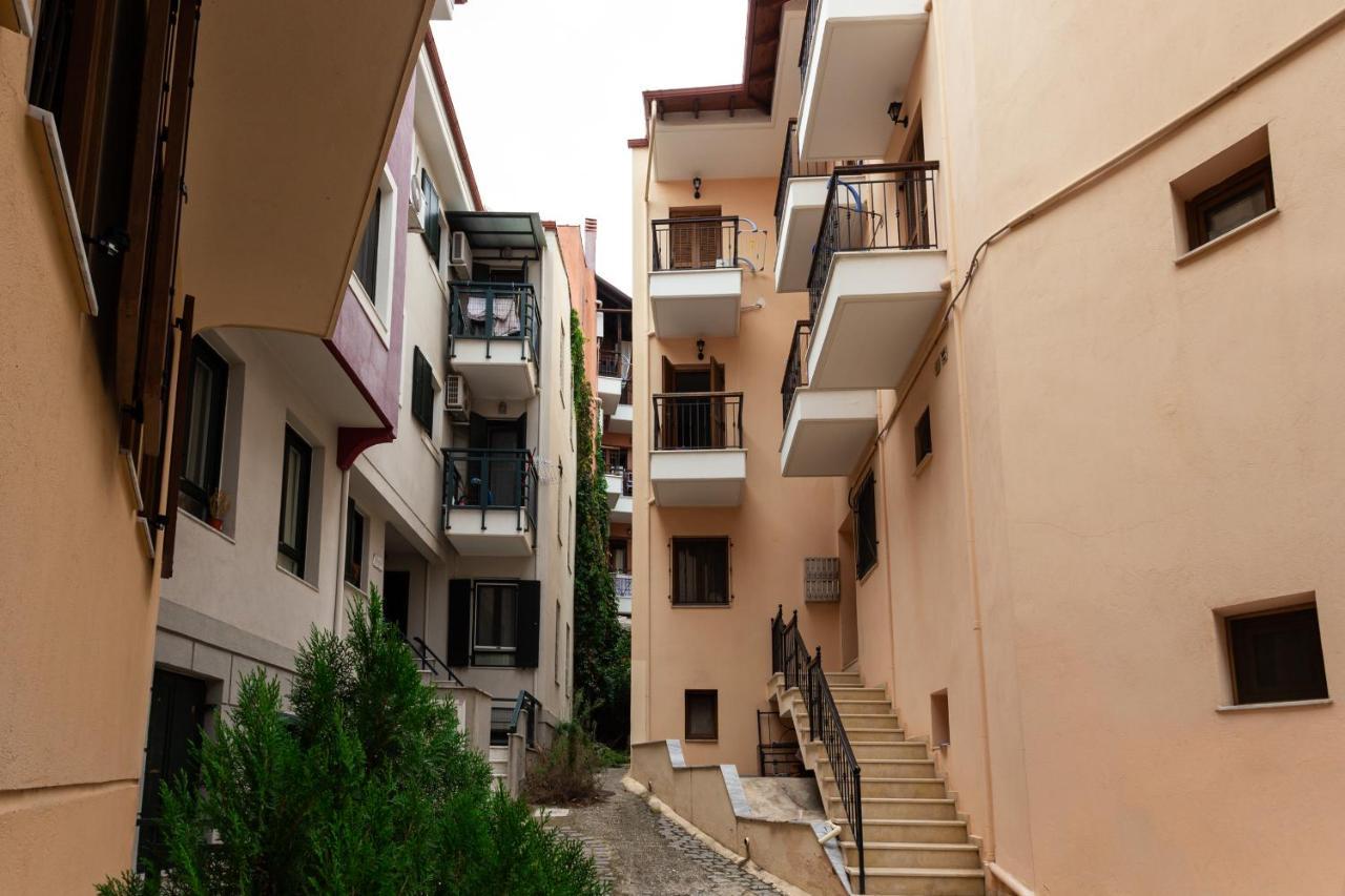 Anopolh 33